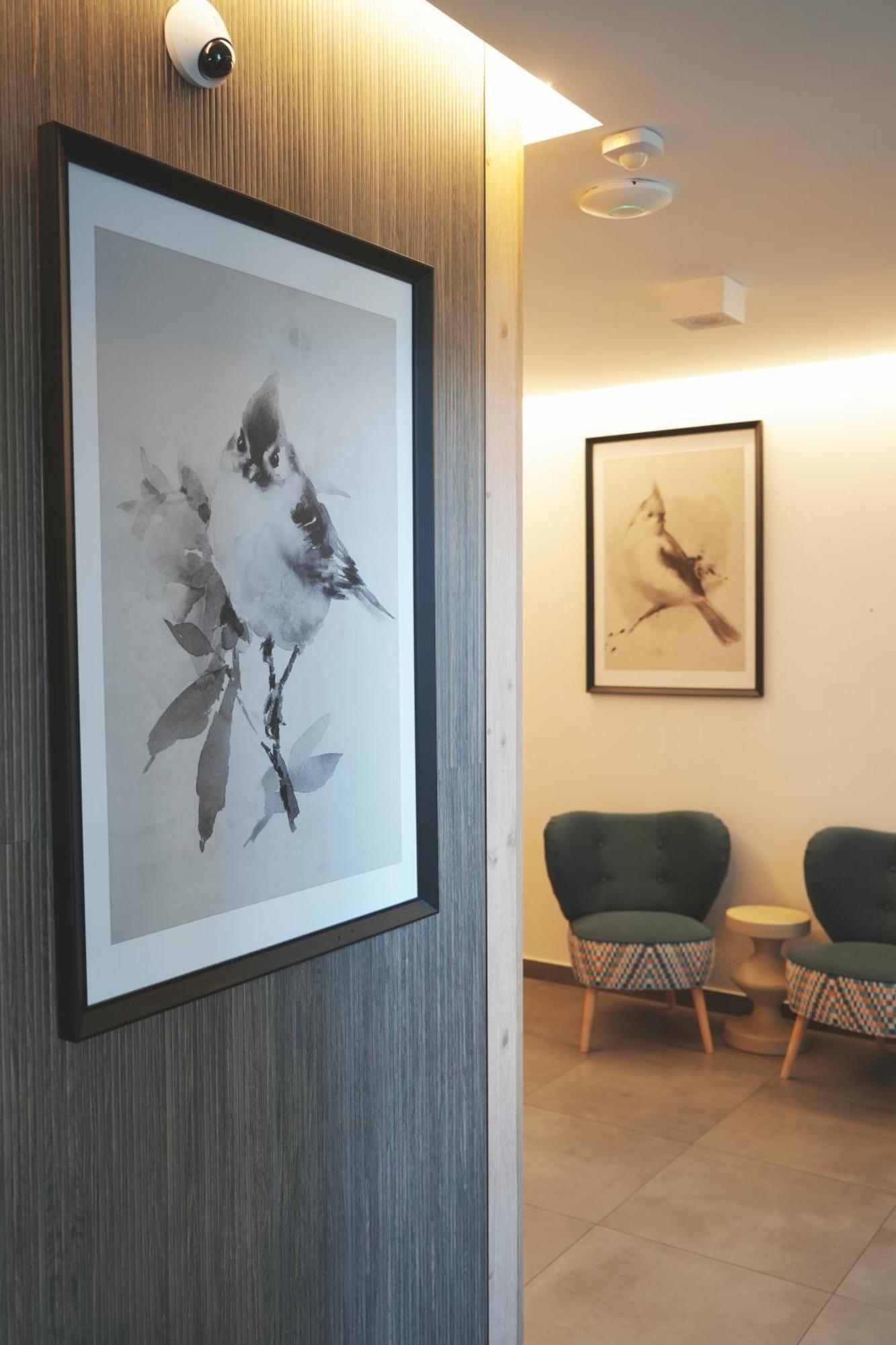 Villa Monica Apartamenty Szczyrk Dış mekan fotoğraf